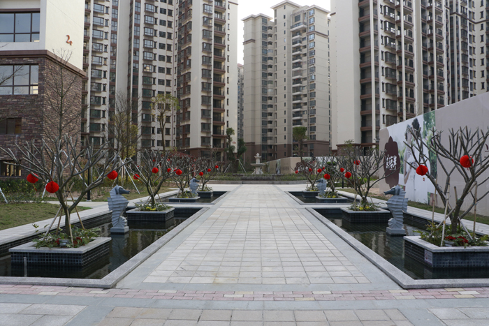 PImgB810.jpg PImgB810.jpg